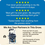 BloomBox Blue Oyster Mushroom Grow Kit – Spray & Grow – Pre-Inoculated Indoor Mushroom Farm – Beginner Friendly – Harvest Fresh Gourmet Mushrooms in Days – Perfect Gift
