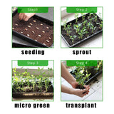 RooTrimmer 10 Pack 1020 Trays, Extra Thick Heavy Duty Seed Starting Trays - No Holes, No Leak, Reusable Propagation Flats for Microgreens, Seedlings, Plant Germination, Fodder and Transplant