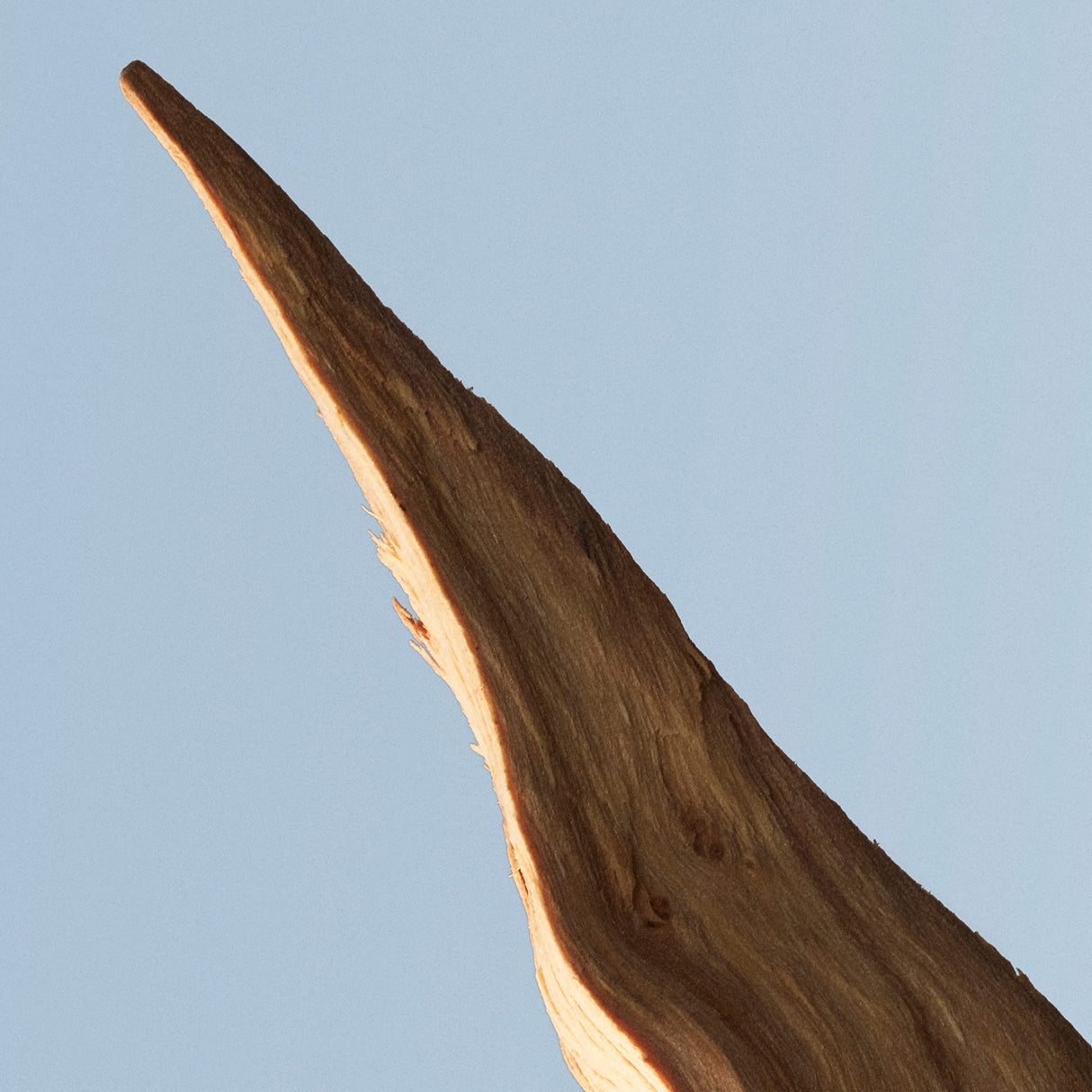 Hugo Boss BOTTLED TONIC Eau de Toilette, 3.3 Fl Oz