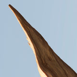 Hugo Boss BOTTLED TONIC Eau de Toilette, 3.3 Fl Oz