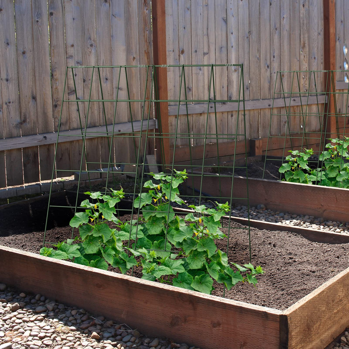 AGTEK 2 Packs 18" x 46" Foldable Cucumber Trellis for Cucumber, Climbing Plants, Vegetable Flowers