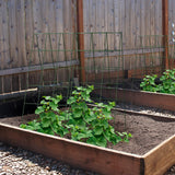 AGTEK 2 Packs 18" x 46" Foldable Cucumber Trellis for Cucumber, Climbing Plants, Vegetable Flowers