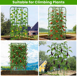 62in Tall Cucumber Trellis for Raised Bed, 34" L x 62" H Metal Garden Trellis for Climbing Plants Outdoor, U-Shape Vegetables Trellis Support for Squash Zucchini Peas Grape