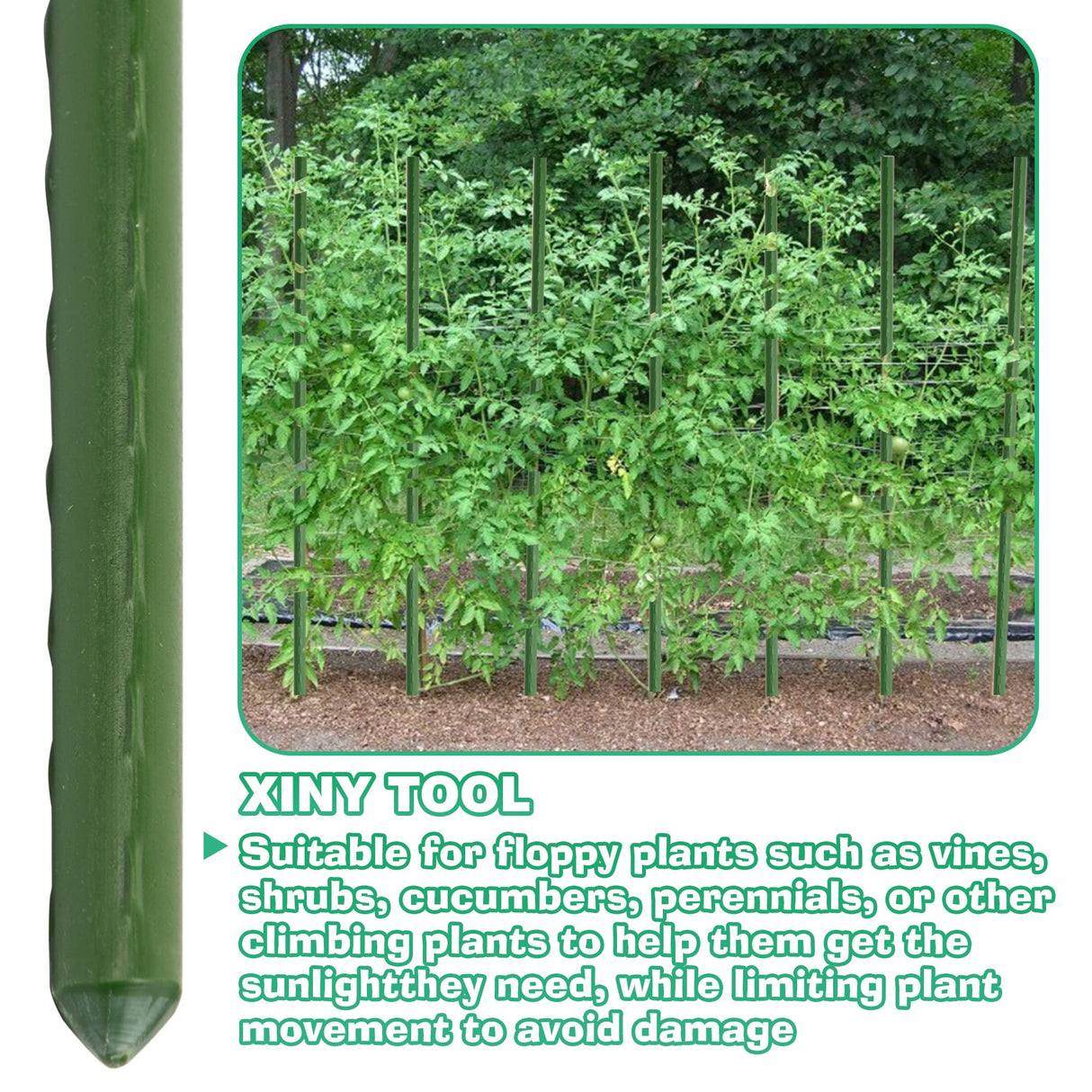 Xiny Tool Garden Stakes, 25 Pack Steel Plant Garden Tomato Stakes with Plastic Coat for Climbing Plants (25 Pack 58 Inch)