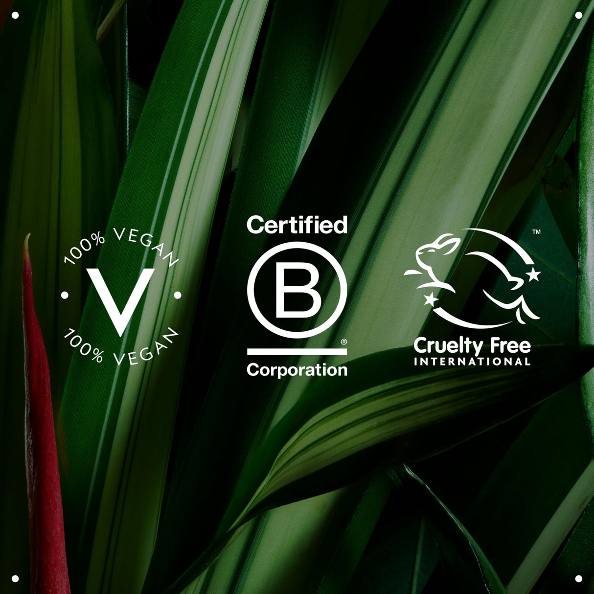 Aveda Shampure Nurturing Conditioner for Fine to Medium Hair | Lightweight Conditioner | 98% Naturally Derived* | Calming Aroma of Lavender & Ylang Ylang, 33.8 Fl Oz