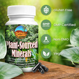 Outback Naturals Fulvic Humic Mineral Blend of Plant-Sourced Trace Minerals, Fulvic & Humic Extracts for Immune Support, Vitality, Hydration & General Health - Pure Body Essentials - 60 Capsules
