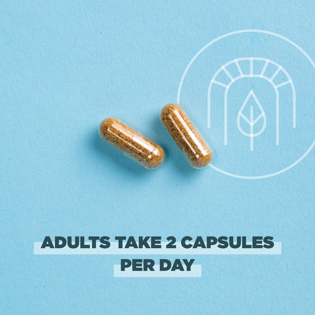 Ancient Nutrition Regenerative Organic Certified SuperFruits Capsules, Supports Gut and Immune System Health, Made with Probiotics, Dragonfruit, Mulberry, and Goji, 60 Count