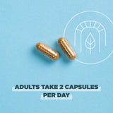 Ancient Nutrition Regenerative Organic Certified SuperFruits Capsules, Supports Gut and Immune System Health, Made with Probiotics, Dragonfruit, Mulberry, and Goji, 60 Count