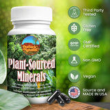 Outback Naturals Fulvic Humic Mineral Blend of Plant-Sourced Trace Minerals, Fulvic & Humic Extracts for Immune Support, Vitality, Hydration & General Health - Pure Body Essentials - 60 Capsules