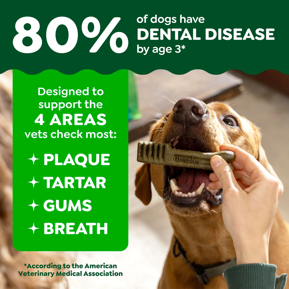 Greenies Petite Natural Dental Dog Treats, Original Flavor, 60 Count