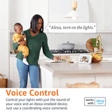 Amazon Basics Smart A19 LED Light Bulb, Dimmable Soft White (2700K), 9W (60W Equivalent), 800LM, Energy Efficient, Works with Alexa Only, 2.4 GHz Wi-Fi, No Hub Required, 4-Pack