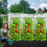 3 Pack Tomato Cages with Clips & Garden Wire, Outdoor Heavy Duty Steel Square Tomato Plant Support Stakes Garden Trellis for Climbing Plants Vegetables Flowers Fruits (41.5 Inch)