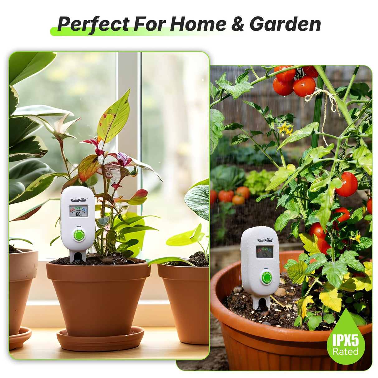 RAINPOINT Smart Soil Moisture Meter,Visual Gauge, Optional WiFi Hub for App