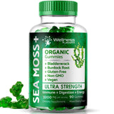 WELLNESS LABSRX Sea Moss Gummies, 3200mg Irish Sea Moss Mixed Berry Flavor with Maximum Potency Bladderwrack and Burdock Root - Supports Skin, Energy and Immunity - 90 Count