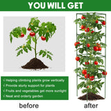 3 Pack Tomato Cage, 14.5" W x 53" H Square Tomato Trellis with 50 Pcs Clips
