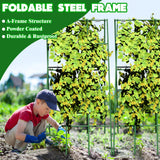 No Assembly Required Cucumber Trellis,2 Pack Trellis for Cucumbers,Outdoor Raised Bed Climbing Plant Support,A-Frame Garden Frame,Used for Vegetables,peas,Tomatoes,Squash,Melon and Fruit Frame