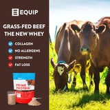 Equip Foods Prime Protein Powder | Clean, Grass Fed Beef Protein Isolate | Carnivore Protein Powder | Paleo, Keto Friendly | Gluten, Dairy Free | Helps Build & Repair Tissue | 30 Servings, Chocolate