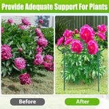 MJZ 4 Pack Peony Cages and Supports, 11.5" Dx16 H Metal Plant Supports