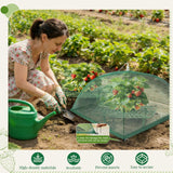 6 Sets Strawberry Plant Support with Mesh Plant Cover, Strawberry Growing Rack Kit with 24 Iron Plant Nails for Garden, Strawberry Growing Frame with Protective Net for Strawberries Tomatoes Veggies