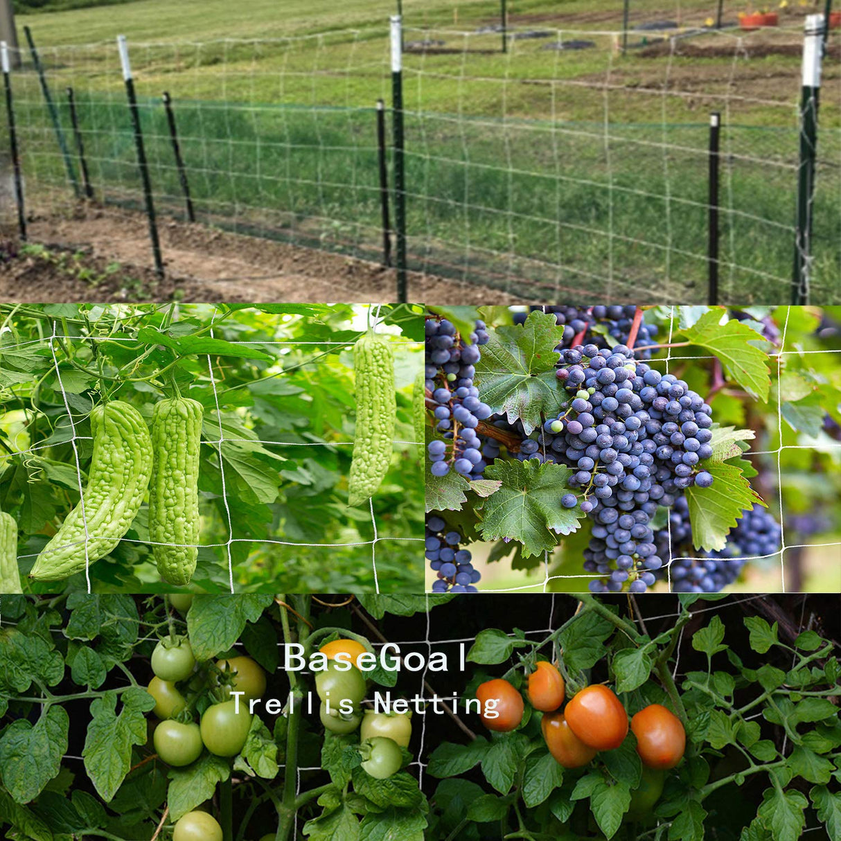 BaseGoal 3.5in Mesh Trellis Netting, 5x60ft, 1 Pack