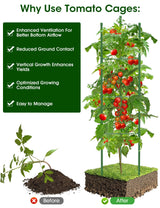 Tomato Cages,6 Pack MQJIAZHI 51.2inch Adjustable - Rust-Proof Tool-Free Trellis for Raised Garden Bed & Climbing Plants
