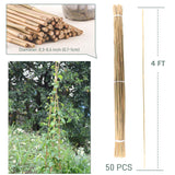 50Pcs / 4ft Bamboo Plant Stakes for Indoor Outdoor Plants, Garden Plant Support Sticks, Poles for Tomato Vegetables Beans Trees Potted Climbing Plants(0.32''-0.4'')