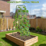 Heavy Duty A-Frame Metal Garden Trellis for Climbing Plants, 50"x17" Inch Tall Plant Support with Clips & Garden Ties for Cucumbers, Squash, Beans & Vines (2)