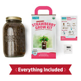 Back to The Roots Organic Strawberry Grow Kit — Grows Year Round, Includes Everything Needed for Planting