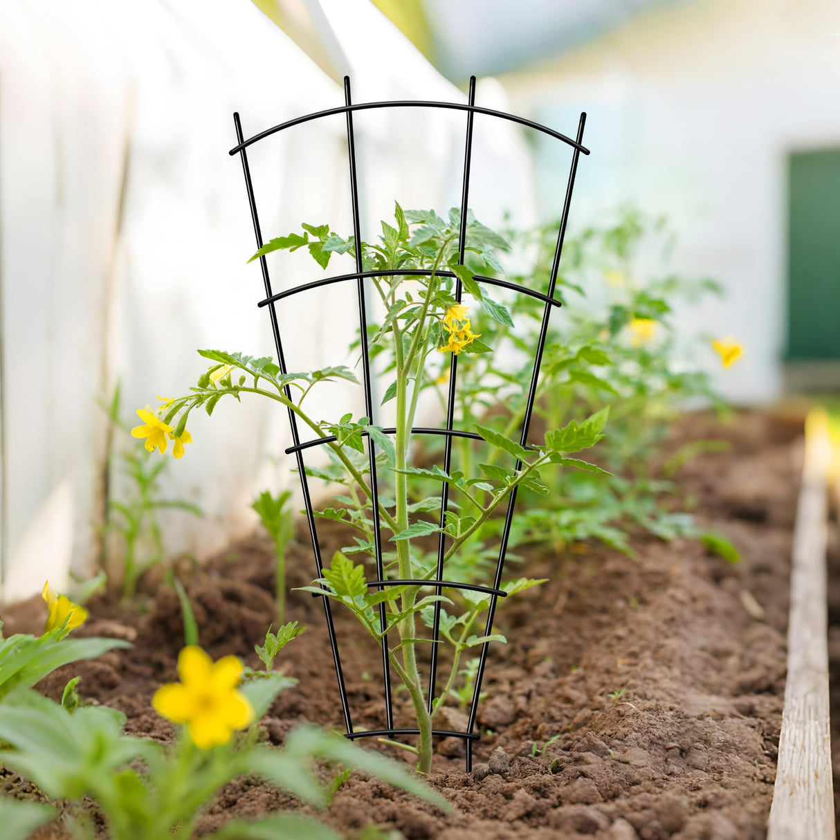 Thealyn 43" Tall Metal Plant Trellis Climbing Plant Support, 4 Pack Black