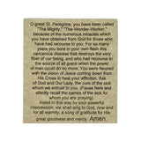 JWG Industries Saint Peregrine Religious Medal Jewelry Bracelet