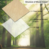 GSCIT Club 12 PCS Oak Wood Veneer, 8 inch x 8 inch Wood Edge Banding Pre-glued Flexible, Veneer Tape Banding for Cabinet Repair Furniture Restoration