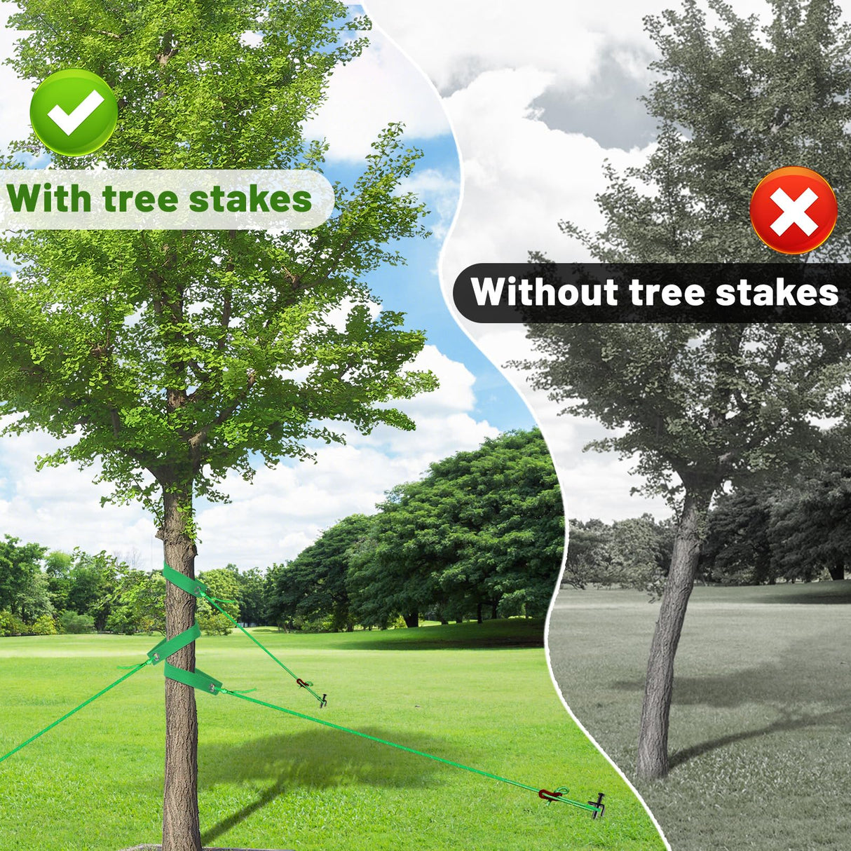 Fabulas Tree Stakes Kits, 6 Pcs 11.8 Inch Heavy Duty Steel Stakes and Supports for Leaning Young Trees Straightening with 6 Pcs Support Straps and 13.2ft Anchor Ropes, Against Strong Wind Bad Weather