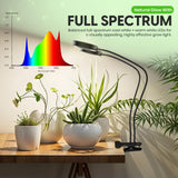 OSANI LED Grow Light 24" Gooseneck Long Arm Grow Lights for Indoor Plants, 48" Wide Coverage, 6000K Full Spectrum with Red Blue LEDs, 10-Level Dimmable, Auto Timer, USB & Adapter, Plant Light Indoor