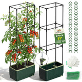 MQHUAYU 2 Pack 51" Self Watering Planter Box with Trellis, Tomato Planter Trellis for Raised Garden Bed, Tomato Cage with Visual Water Indicator, Indoor Outdoor Tomato Cages for Garden Patio