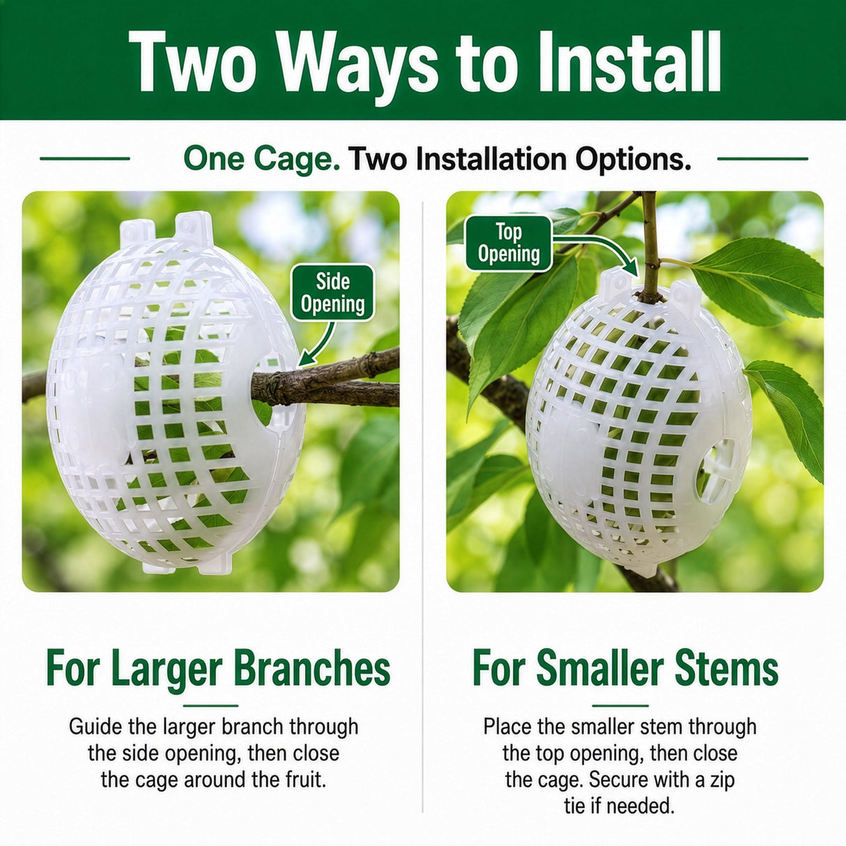 Rooted Promise Fruit Protection Cages for Peaches and More | 2026 Improved Secure-Lock Design | Small 4x5 Inch | 12 Pack | Squirrel Resistant | Reusable Heavy-Duty Plastic | Made in USA