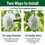 Rooted Promise Fruit Protection Cages for Peaches and More | 2026 Improved Secure-Lock Design | Small 4x5 Inch | 12 Pack | Squirrel Resistant | Reusable Heavy-Duty Plastic | Made in USA