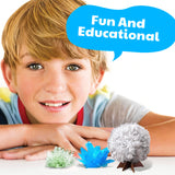 4M Kidz Labs Crystal Science