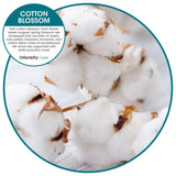 Fresh Products ourfreshe Plug In Air Freshener 30 Day Refills Replace Messy Aerosols with Dry Fragrance For Use in Medium Sized Spaces Cotton Blossom 6 Pack