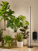 GLOWRIUM Grow Lights for Indoor Plants, 36W Vertical Plant Grow Lights with Auto-Timer, Full Spectrum LED Standing Plant Grow Light, 3 Light Modes, 6-Level Dimmable (60in)
