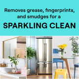 Seventh Generation Glass Cleaner, Biodegradable Formula, Sparkling Seaside Scent, 23 oz (Pack of 4)