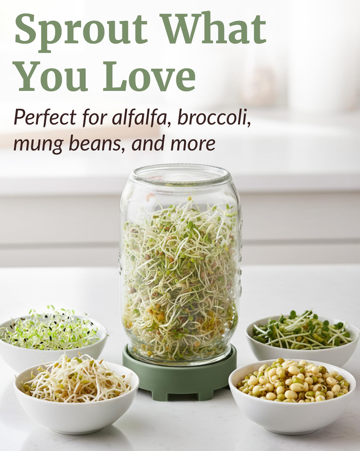 Elementi Sprouting Jar Kit - Set of 2 Wide Mouth Mason Jars with Sprout Lids & Stainless Steel Mesh Screen - Seed Sprouting Kit & Sprout Jars for Growing Broccoli Sprouts, Alfalfa, Mung Bean Sprouter