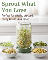 Elementi Sprouting Jar Kit - Set of 2 Wide Mouth Mason Jars with Sprout Lids & Stainless Steel Mesh Screen - Seed Sprouting Kit & Sprout Jars for Growing Broccoli Sprouts, Alfalfa, Mung Bean Sprouter