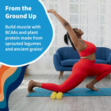 Garden of Life Protein Powder, Vegan Protein Powder, BCAA, Probiotics & Digestive Enzymes, Gluten & Lactose Free, Vanilla, 1.5 LB