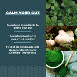 Ancient Nutrition Gut Health Supplement, Regenerative Organic Certified Leaky Gut Capsules, Formulated with Lion’s Mane, Fermented Licorice Root and Spearmint, Gluten Free, Paleo and Keto Friendly, 90