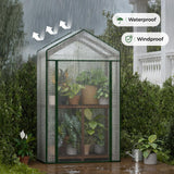 Bamworld Mini Greenhouse Indoor Small Portable 2-Tier Green House for Seed Starting Plant Grow Warmer and Home Gardening Display