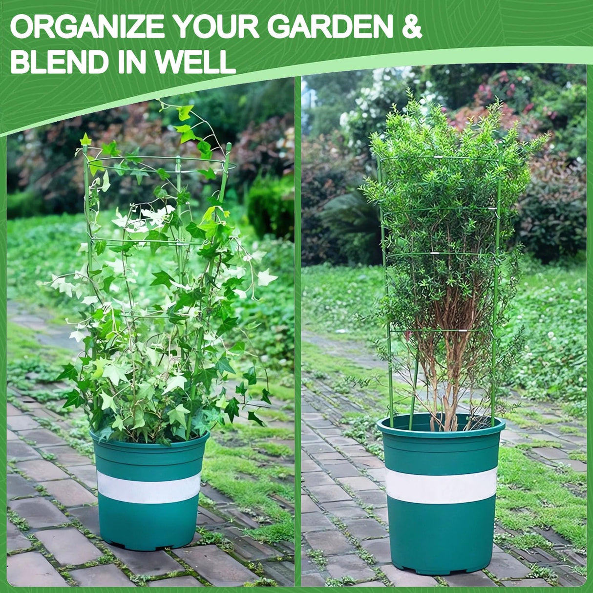 KLS 3 Pack Tomato Cage for Pots Plant Support, Upgrade 24 Inches Tomato Cages for Garden, Pepper Cage Trellis Kit with Plant Tie and Clips (24")