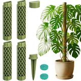 Moss Pole Monstera Plant Support: 40" Stackable Kit for Climbing Vines
