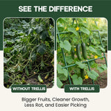50x50 Cucumber Trellis for Raised Bed - A Frame Garden Trellis for Climbing Plants Outdoor - Cucumbers, Pea, Zucchini, Squash,Tomato, Green Bean, Vine, Watermelon, Melon, Pumpkin