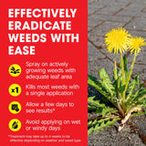 Doff Advanced Concentrated Weedkiller - 6 Sachets for Dilution in Water for Garden Protection – Kills Deep Rooted Weeds from Pathways to Driveways - Long Lasting Weed Control – Strong Weed Killer