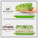 Microgreens Growing Trays with Lids and Coconut Fiber Mat,Seed Sprouter Tray with Drain Holes,Seed Starter Tray Reusable,Microgreens Growing Trays,Cat Grass Growing Kit for Indoor Cats (Pack 3)